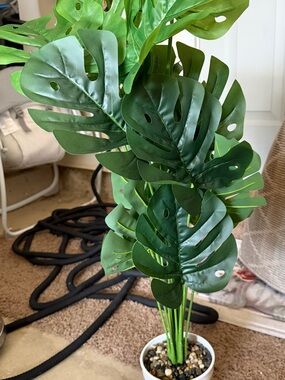 Faux Monstera Leaf Accent Plant with white Planter
